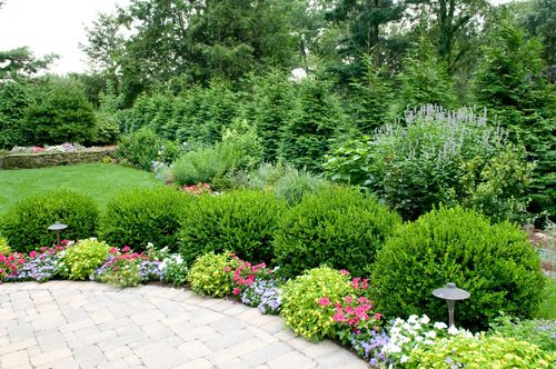Other Services for Clovis Outdoor Services in Stony Brook, New York
