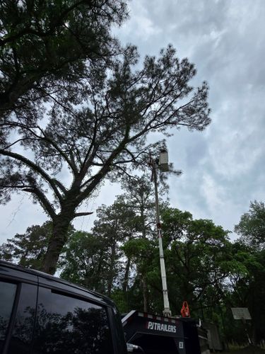  for Breaktime Tree Trimming & Removal in Oakdale, LA