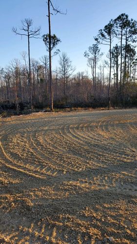 Land Clearing for Between The Hedges Landscape & Trucking LLC in Altha, FL