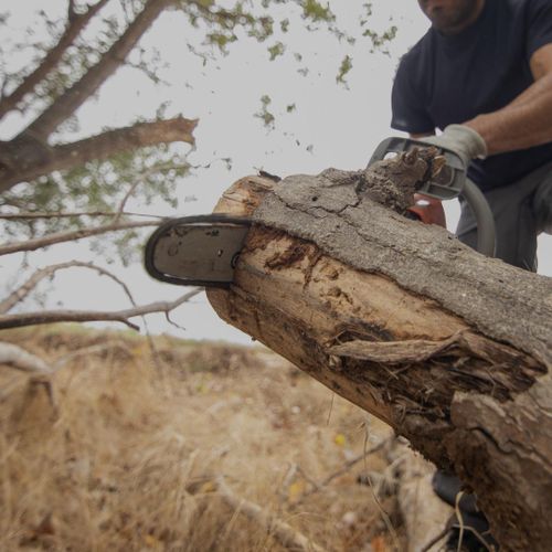  for Oakwood Tree Removal LLC in Oak Creek,  WI