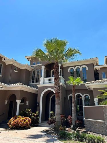 Tree Removal for A-1 Arbor Tech in Groveland, FL