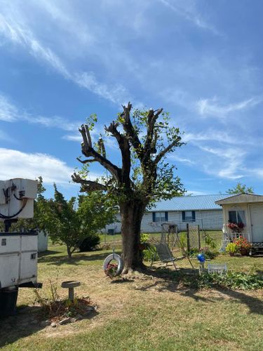 Fall and Spring Clean Up for Atwood’s Tree Care in Liberty,  KY