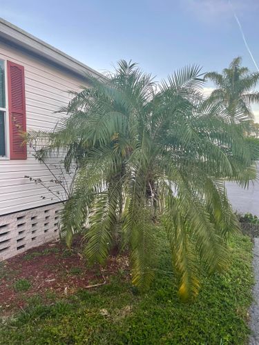 All Photos for A&D Lawn Care of Lakeland in Lakeland, FL