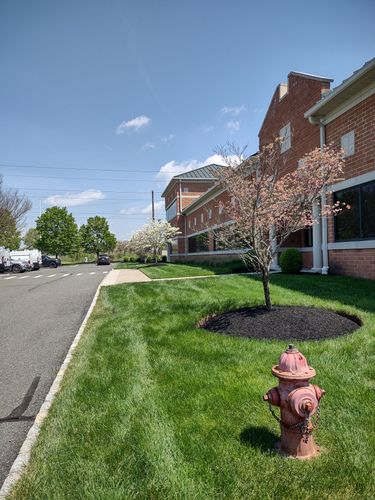 Mulch for Ettere Landscape Services in Flemington, NJ