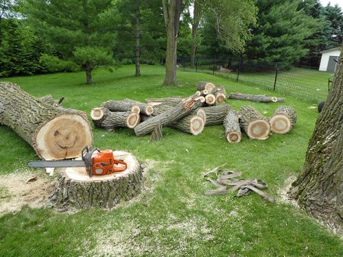 Tree Removal for Dave's Seamless Gutters & Contracting in Northern Cambria, Pennsylvania