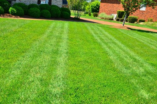 Lawn Care Management for Grassy Turtle Services, LLC.  in Oxford, CT