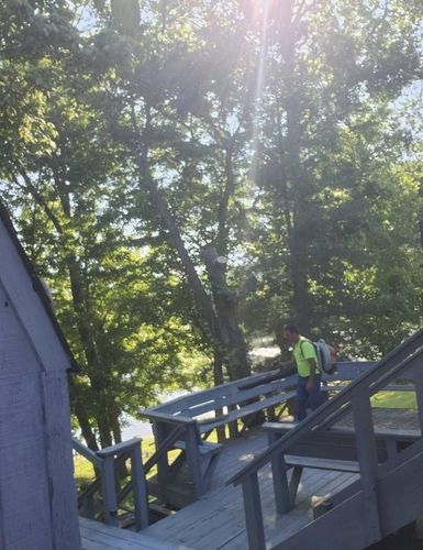 All Photos for Carpenter's Tree Service in Aurora, IN