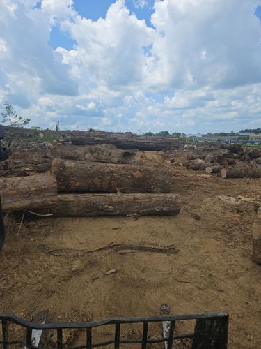  for B&B Land Management in Jamestown, TN