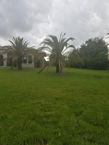  for Clear Water Sprinkler and Irrigation Service in Port Saint Lucie, FL