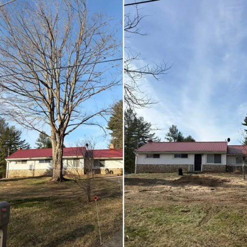  for Dig-It Tree Company in Mason, OH