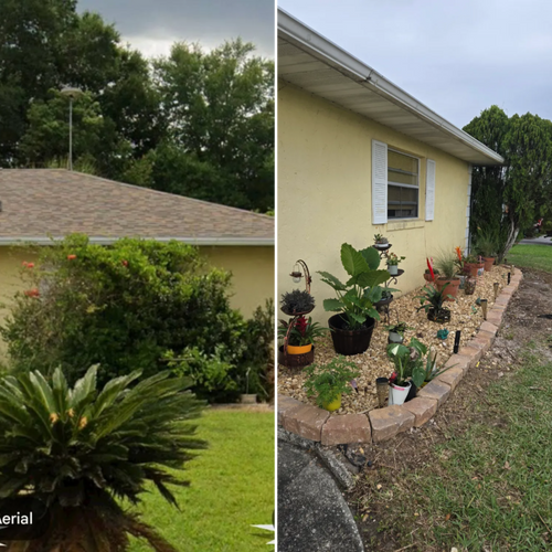 Tree and Hedge Care for Above the Lawn Cuts and Pressure Washing in Sebring, FL
