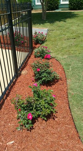 Mulch Installation for AJC Lawn Care, LLC in Atlanta, Georgia