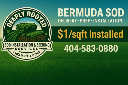  for Deeply Rooted Lawn Installations - Sod Installation & Hydroseeding Services in Winder, GA