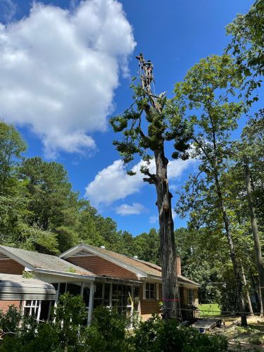 Tree Removal for Rosales Landscaping LLC in Lake Gaston, North Carolina