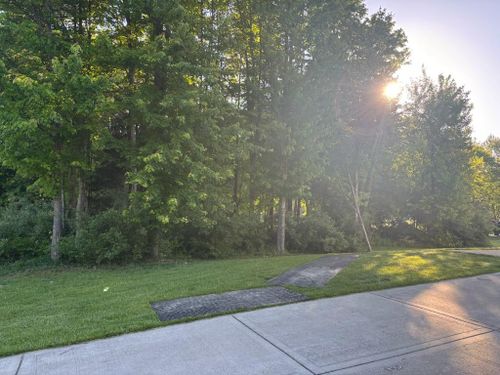  for Anstaetts Tree Service in Batavia, OH