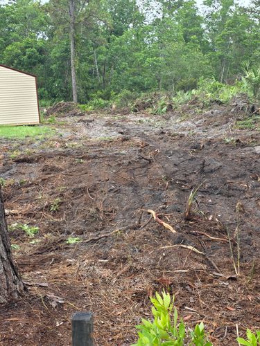 All Photos for Highlife Tree Care And Landscaping in Altamonte Springs, FL