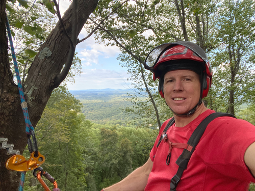 Tree Removal for Pinedown LLC in Cherokee County, GA