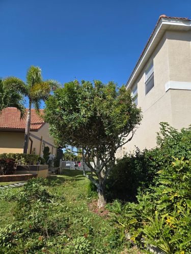 Tree Planting & Landscape Services for TREE BOYS in Ruskin, FL