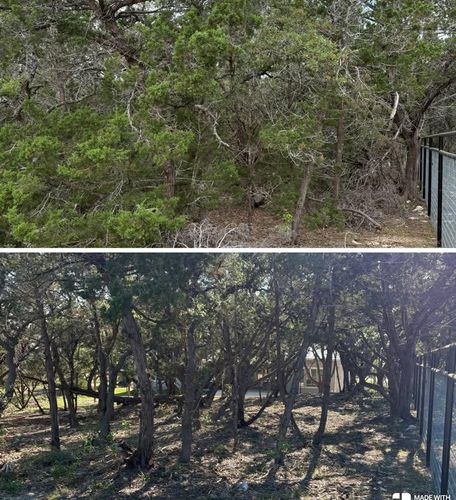 Tree & Shrub Care for Bad Axe Landscapes LLC in Schertz, TX