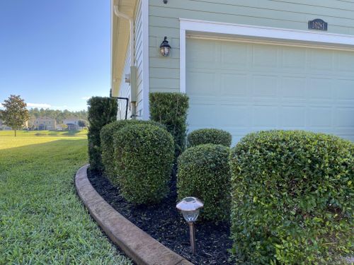 Mowing for Lawns By St. John in North East, Florida