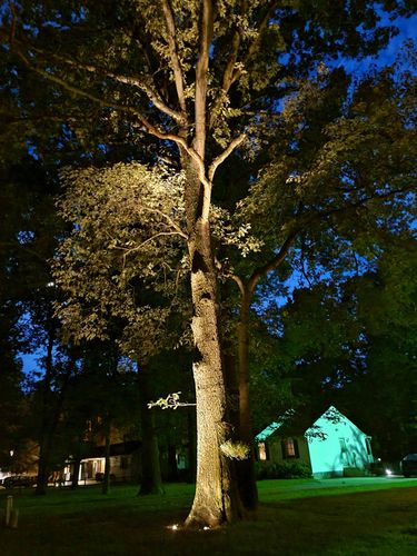 Landscape Lighting for SoDel Stone Works & Construction LLC in Sussex County, DE