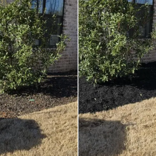 Mulch Installation for Fresh Cut Yard & Lawn Care LLC in Forsyth, GA