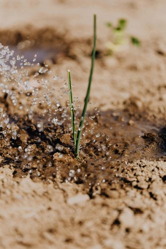 Lawn Maintenance for Morning Dew Landscaping Services in  Marlboro, NY