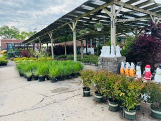 Gardening for Mayfield Landscaping in Staunton, IL
