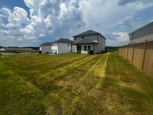 Lawn Care and Maintenance for Buildscape in Covington, GA