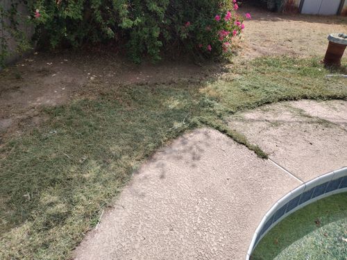  for Smooth Lawn Service in Mesa, AZ