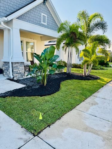 Landscaping for Shoreside Property Services in Apollo Beach, FL