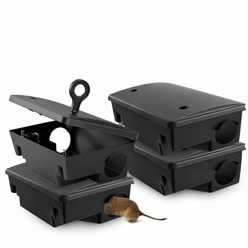 Rodent Control Services for Platinum Pest Control in Spring Hill, FL