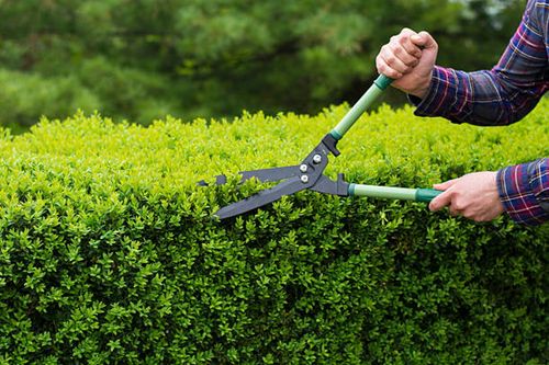 Tree Services for Transforming Landscaping & Tree Service in Bowling Green, KY
