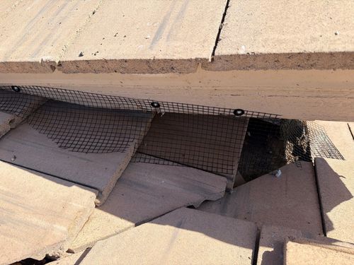 Bird Proofing for Olson & Sons Contracting in Mesa, AZ