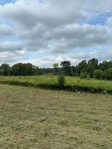  for Root Land Management in Watkins, MN