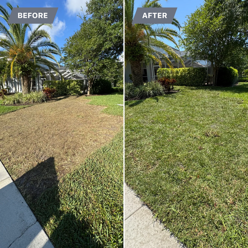 Sod installation for BH Lawn and Landscape in Fort Myers, FL