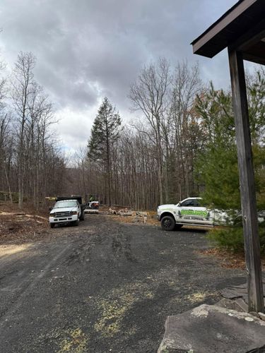  for Sterlings Tree Removal in Cobleskill, New York