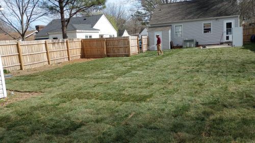 Tree Removal for Rosales Landscaping LLC in Lake Gaston, North Carolina