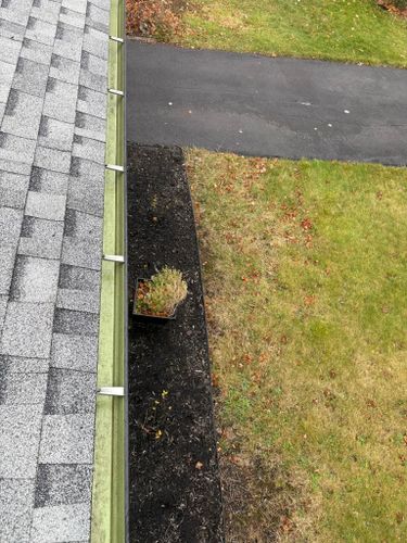 Gutter Cleaning for Apex Windows in Brockport, NY