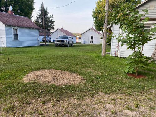 Stump Grinding for Bear Creek Tree Service LLC in Rudyard, MI