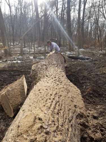  for Pure Iowa Logging in Cedar Rapids, Iowa