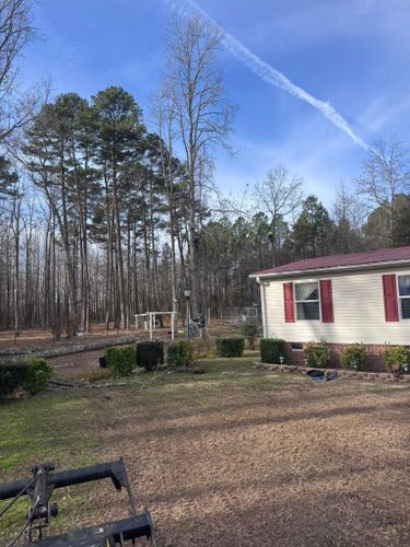  for Diversified Tree Company in Trinity, NC