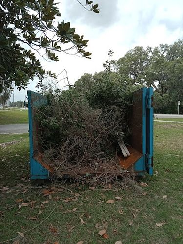 Tree Trimming & Removals for Aztec Land Destroyers LLC in Ocala, FL