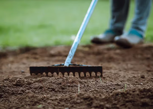 All Photos for Citiscapes, LLC in Phoenix, AZ