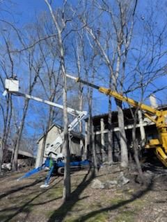 Tree Trimming for Lamb Brothers Clearing in Murray, KY