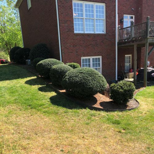 Hedge Trimming for Kyle's Lawn Care in Kernersville, NC