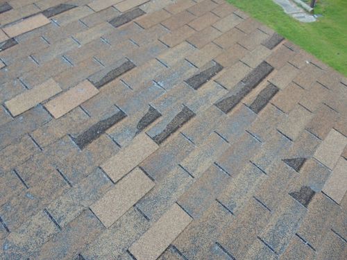 Shingles for Bueno-Wilkerson Roofing in DeLand, FL
