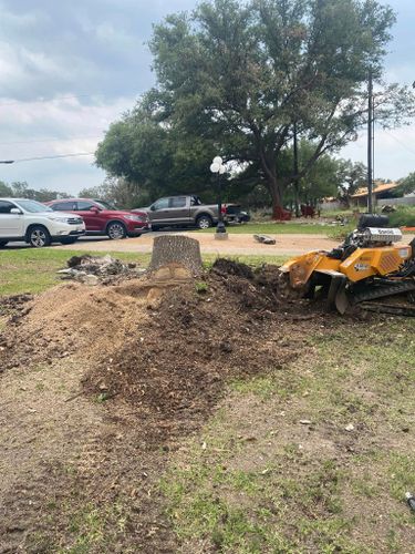 Stump Grinding for West Stump Grinding in Temple, TX