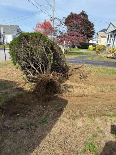  for Lucas Property Maintenance LLC in New Bedford, MA