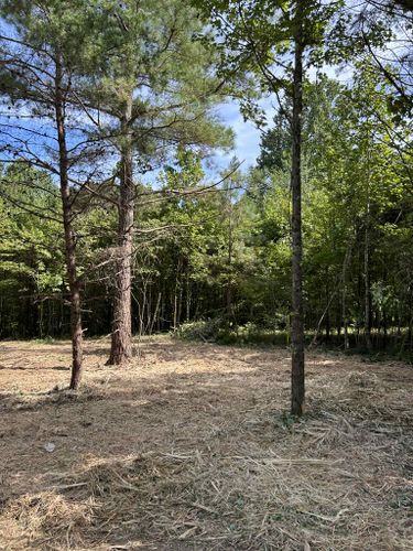  for Z's Land Management & Forestry Mulching in Smithville, TN